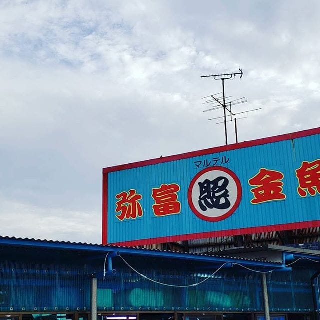 おはようございます(^^)悩み続けて・・・365日通うだけになっています (Instagram)