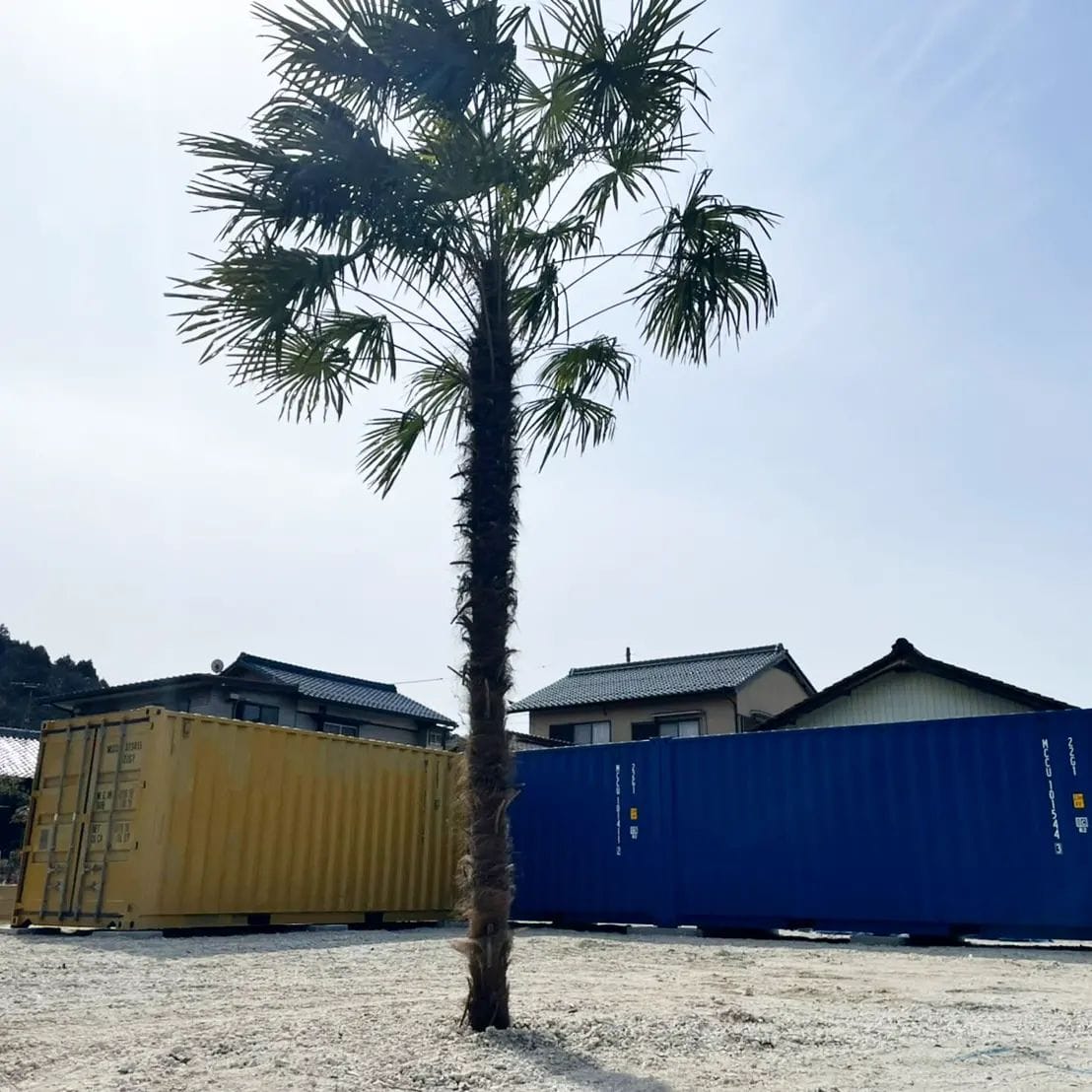 設置施工事例(インスタより)